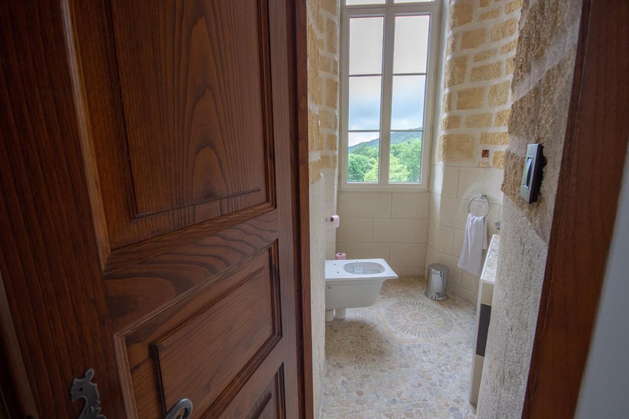 Chateau De Druon Sévignacq-Meyracq Kültér fotó
